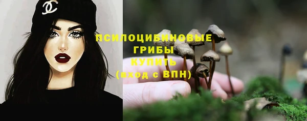 ПСИЛОЦИБИНОВЫЕ ГРИБЫ Арсеньев
