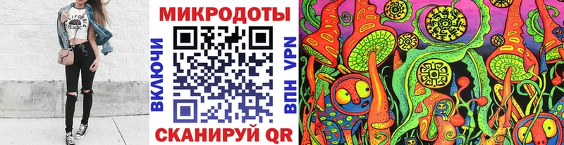 купить наркоту  Ясногорск  Псилоцибиновые грибы Psilocybe 